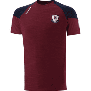 Letterkenny Gaels GAA Oslo T-Shirt