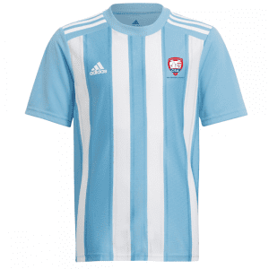 Core Soccer Academy Striped Jersey Blue