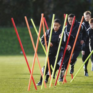 Boundary Poles 1.7m (with bag)