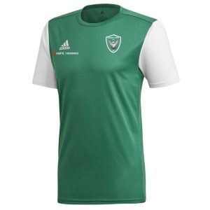 Drumkeen United Estro 19 Training Jersey Green