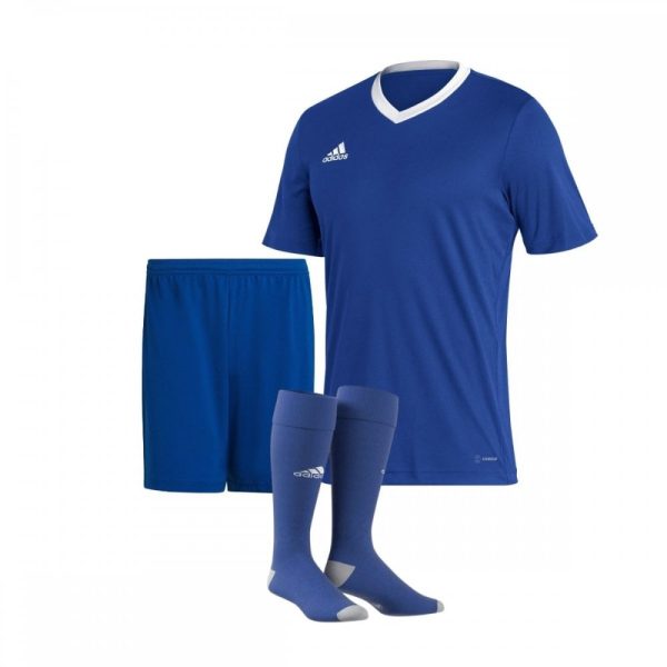 Entrada 22 Kit Bundle(A)