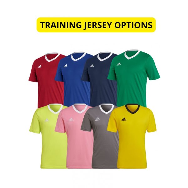 Entrada 22 Kit Bundle(A)