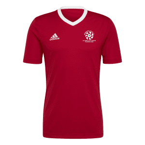 Newmarket Celtic Entrada 22 Jersey Red