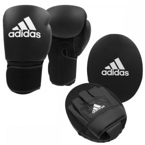 Boxing Gloves and Focus Mitts