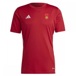 Charleville AFC Tabela 23 Jersey