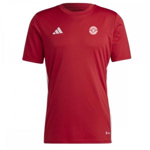 Drumoghill FC Tabela 23 Jersey