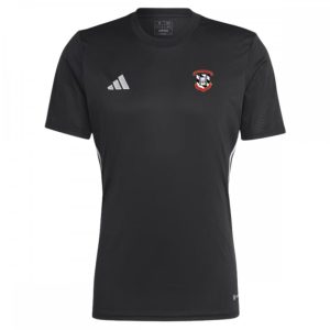 Glaslough Villa Tabela 23 Jersey