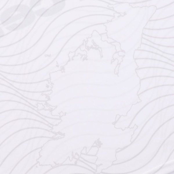 Kids Donegal GAA 2024 Away Jersey