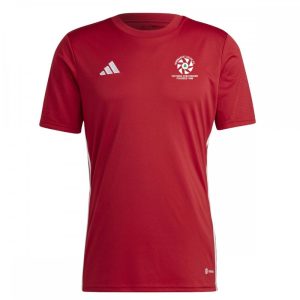 Newmarket Celtic FC Tabela 23 Jersey