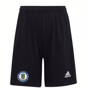 Swinford FC Entrada 22 Shorts Black
