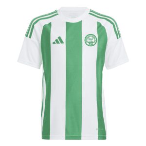 Castlefinn Celtic Striped 24 Jersey Green/White