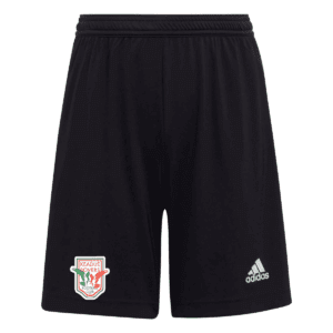 Keadue Rovers Entrada 22 Shorts